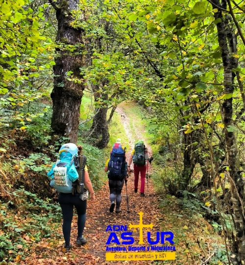 406841042_755890773244573_6033027802732337047_n